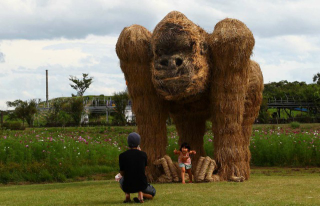 Illustration for article titled Japan's Straw Beasts Are Huge, Wonderful, and Highly Flammable